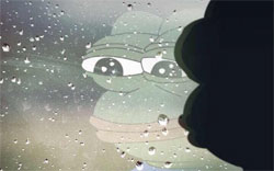 Sad Frog表情sticker